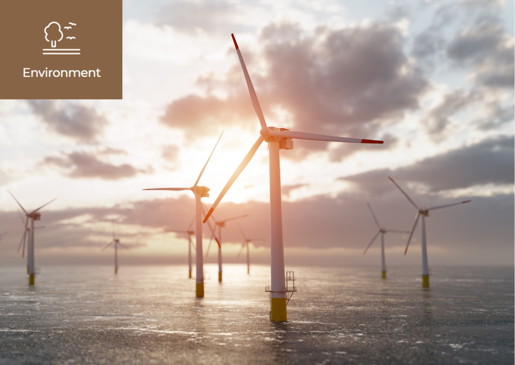 [Things we must do for a sustainable ocean] 이미지