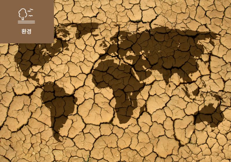 [2022 글로벌 리스크 Top 10] 이미지