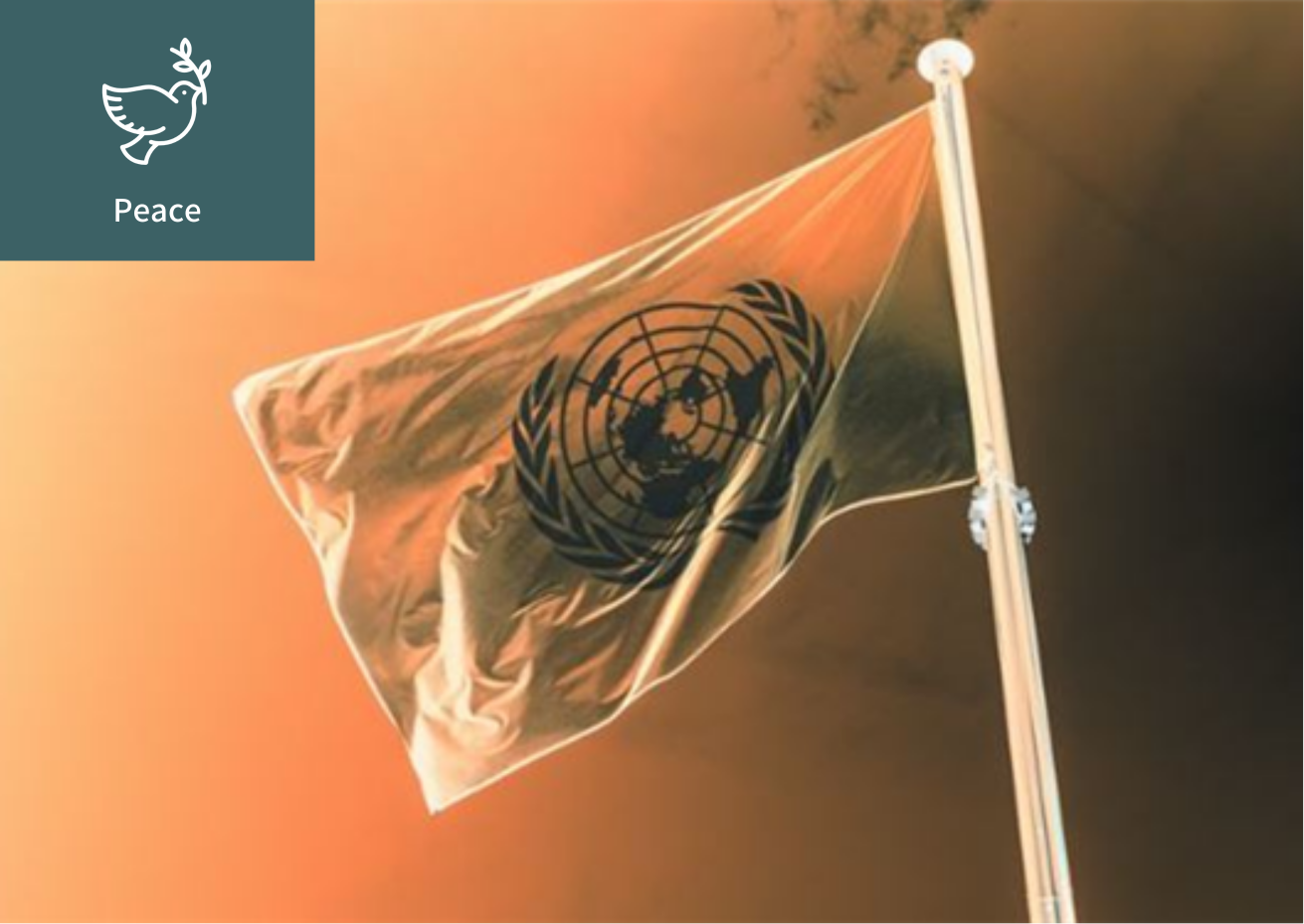 [The UN Veto] 이미지