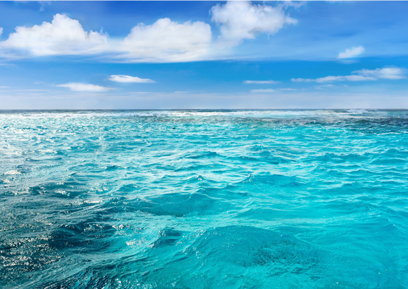 '지속가능한 해양'