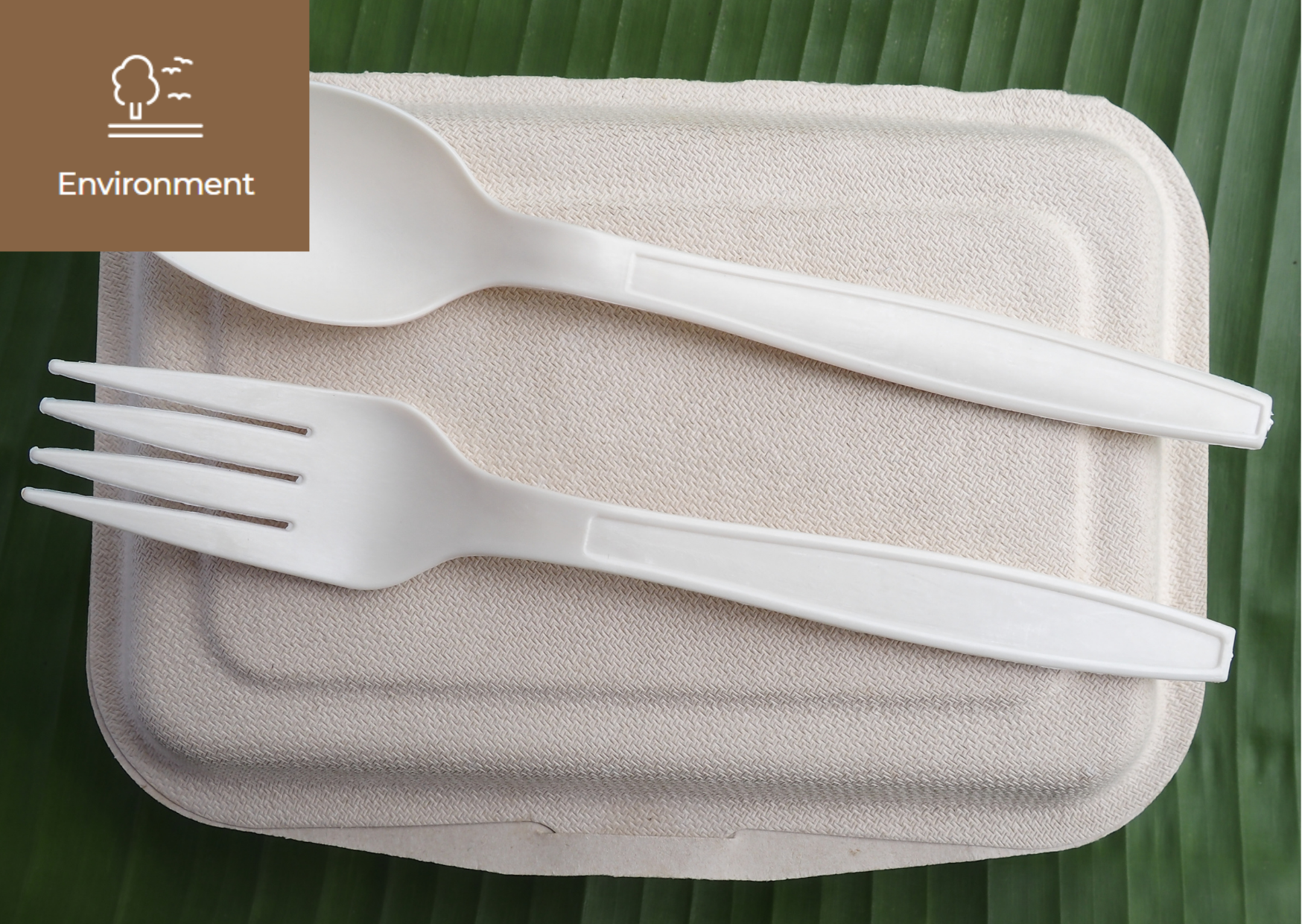 [Bioplastic] 이미지