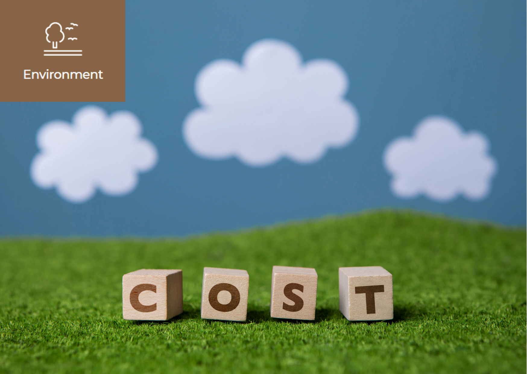 [Greenflation, a Price to Pay to Achieve Zero Carbon] 이미지