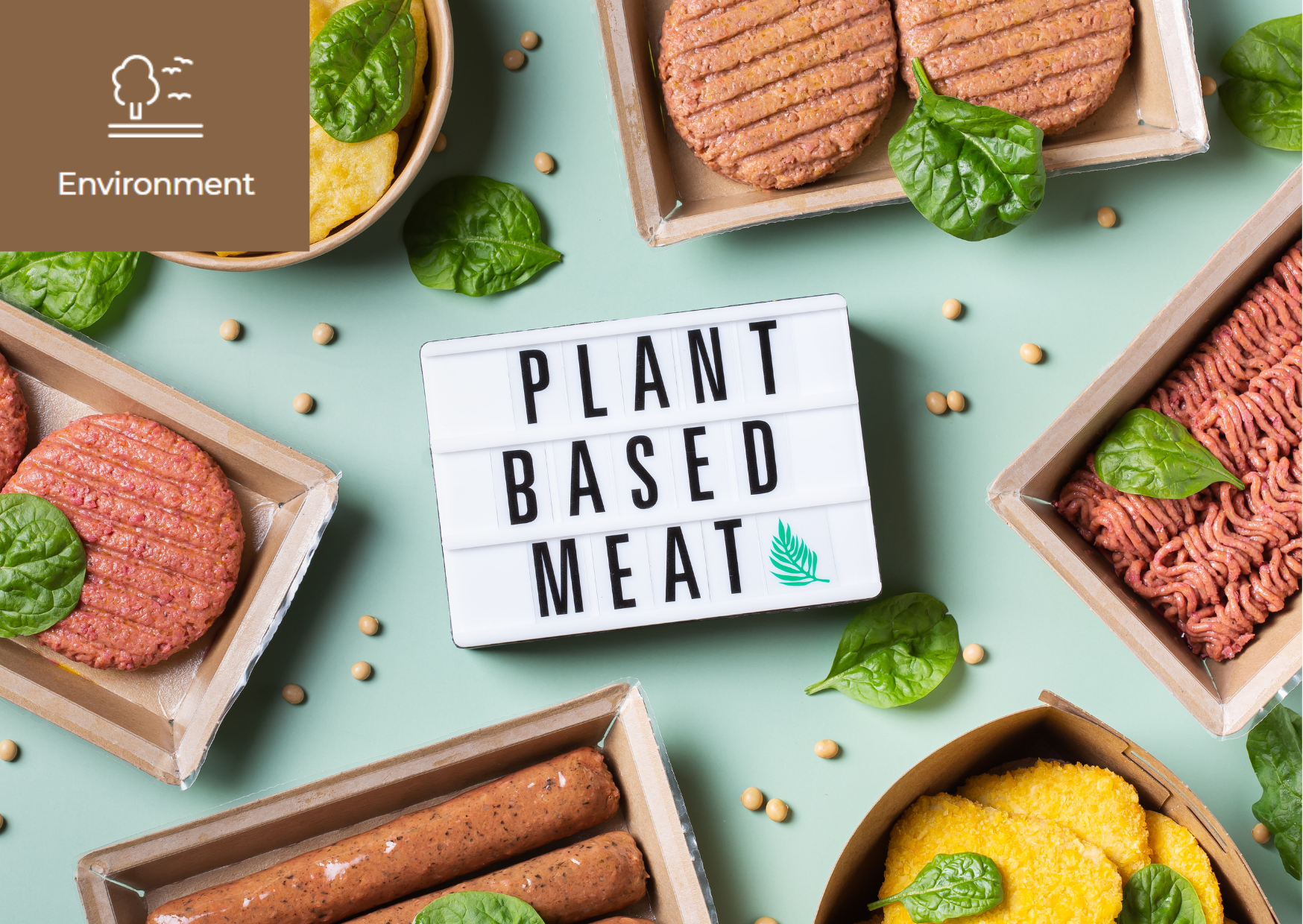 [Can Meat Substitutes Prevent Climate Change] 이미지