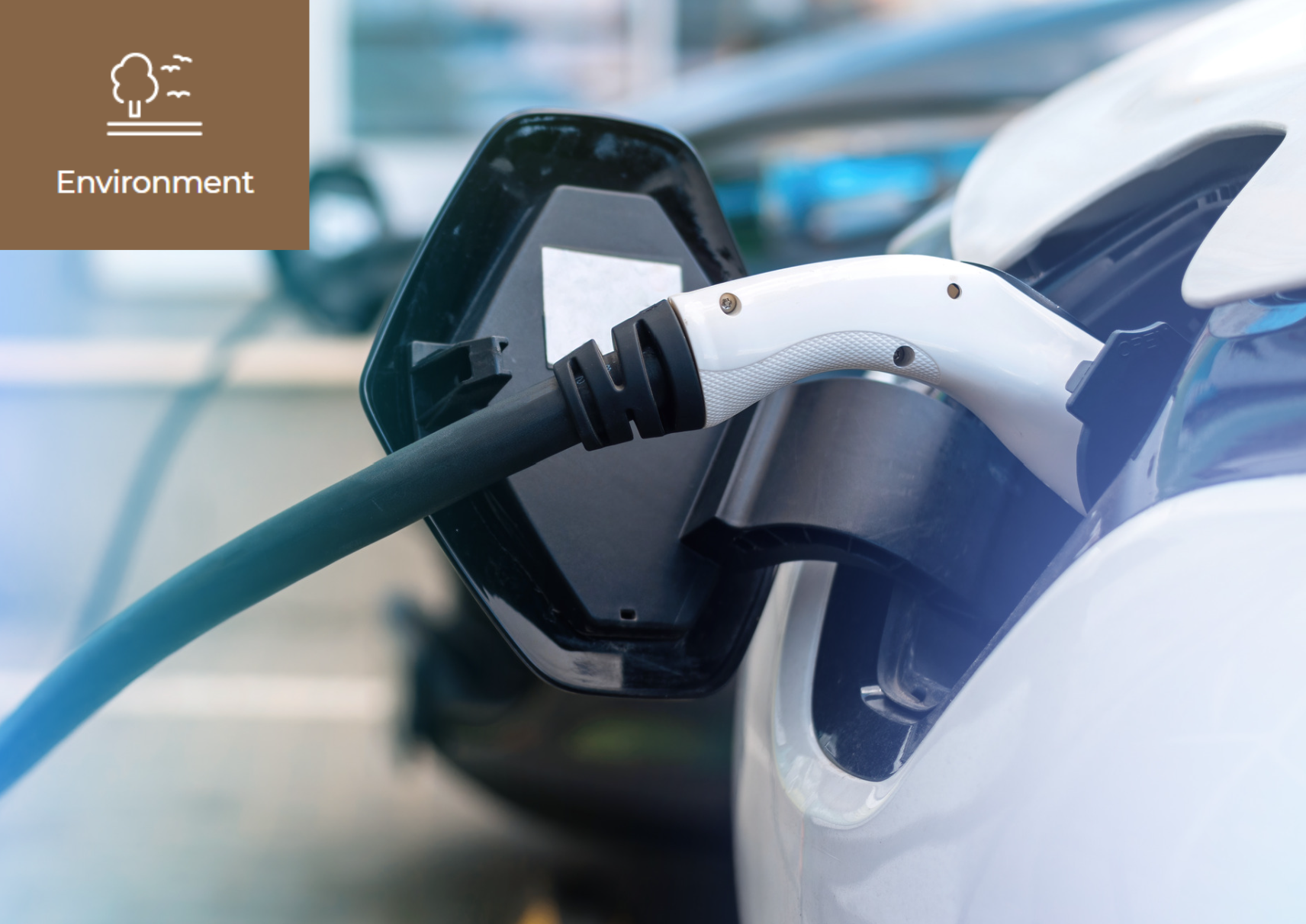 [Are Electric Cars Really Environment-Friendly?] 이미지