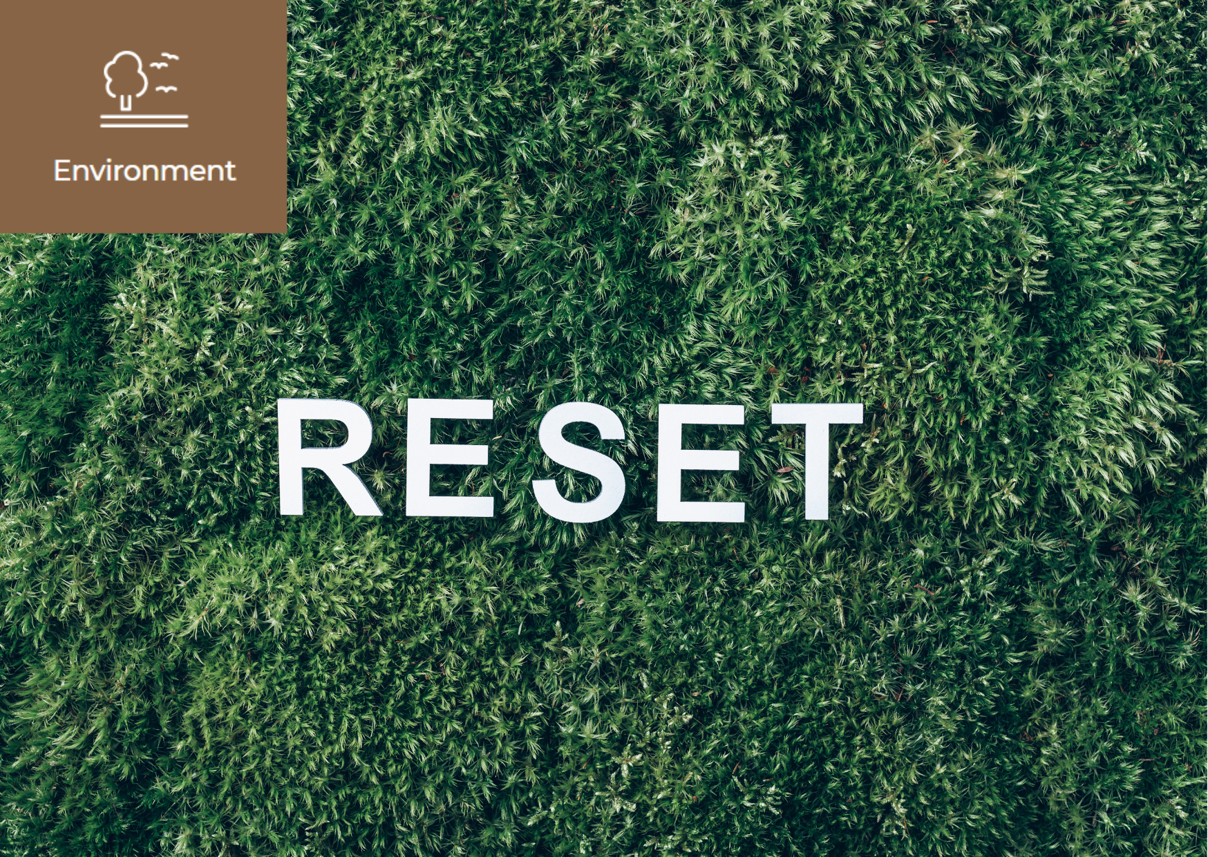 [We live in the era of the great global extinction] 이미지