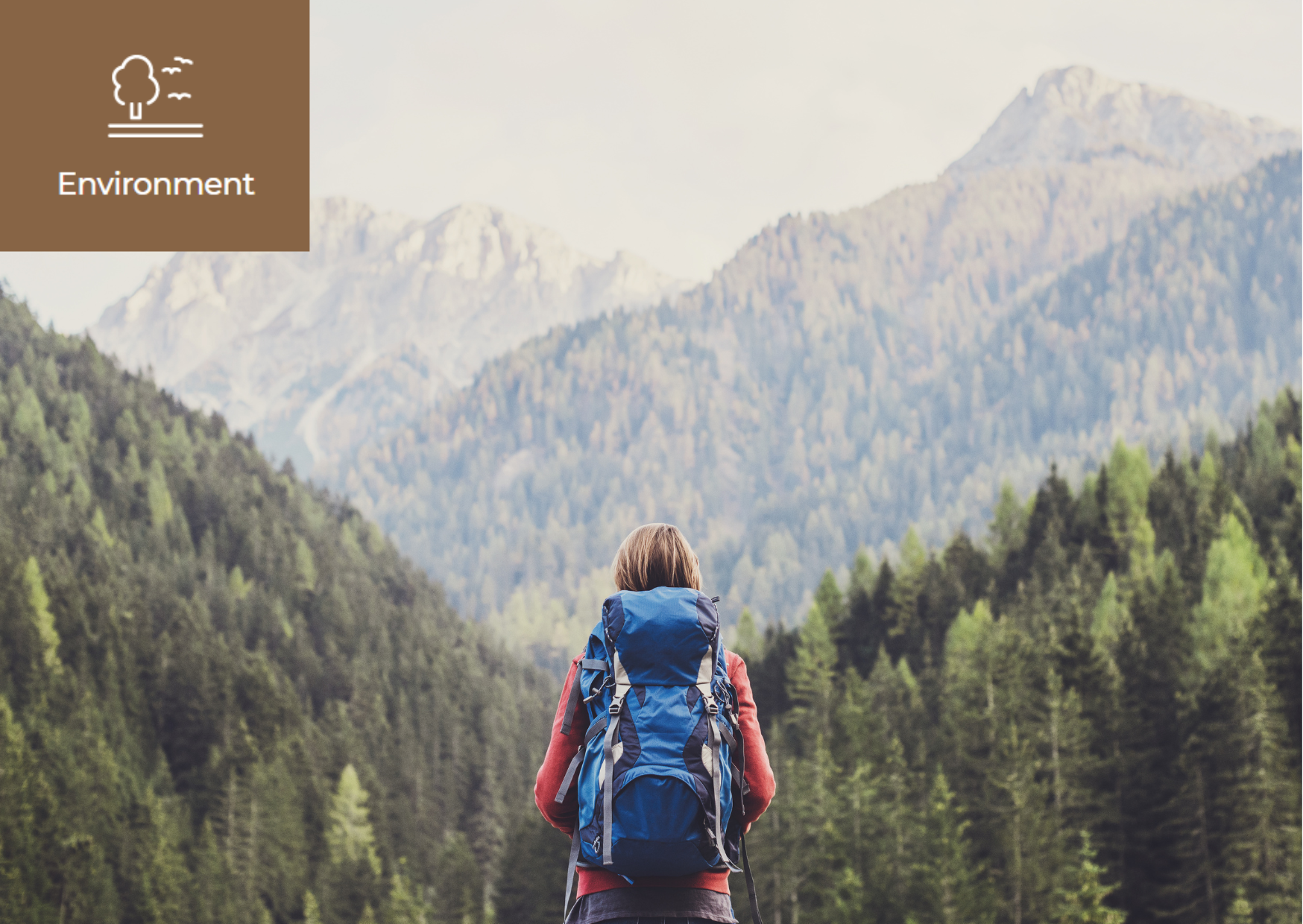 [Sustainable Tourism] 이미지