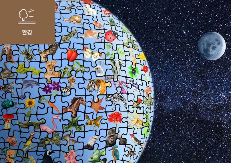 [지구생명보고서 2022] 이미지
