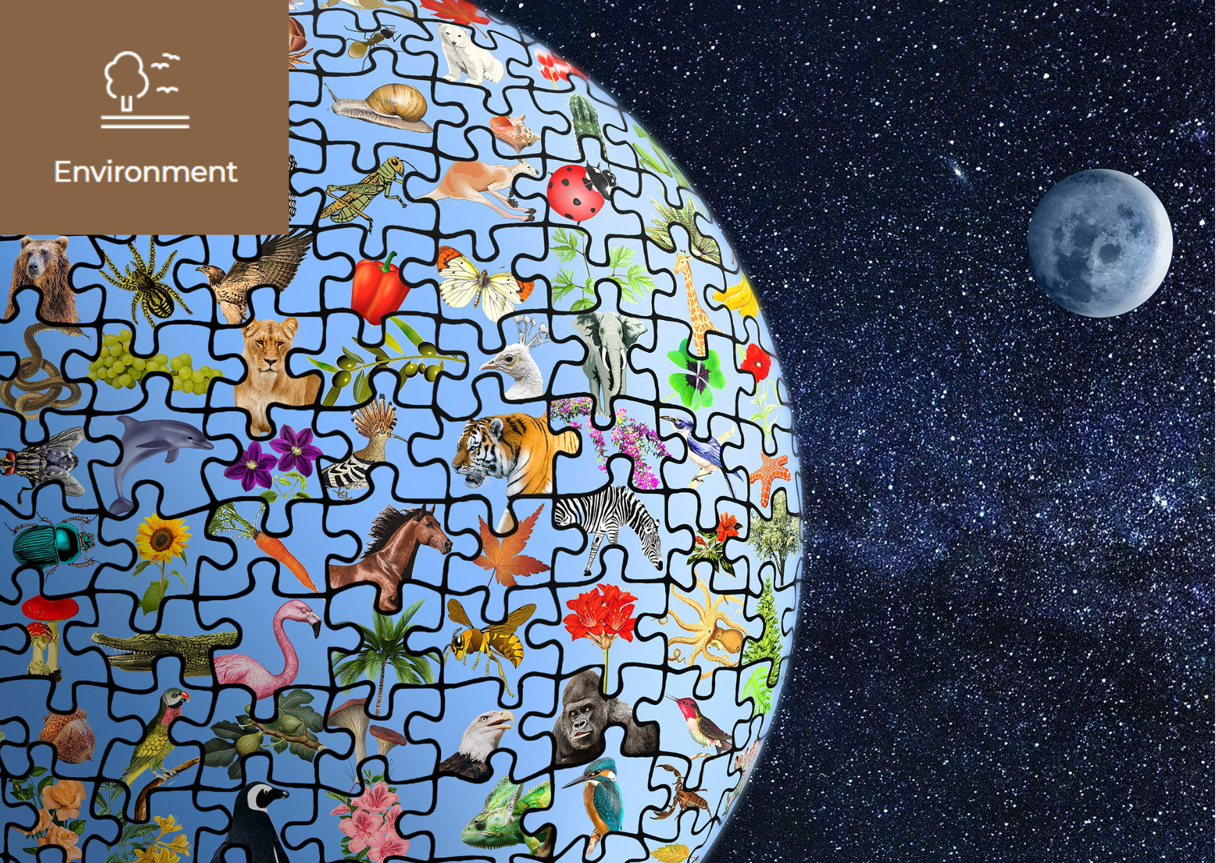 [Living Planet Report 2022] 이미지