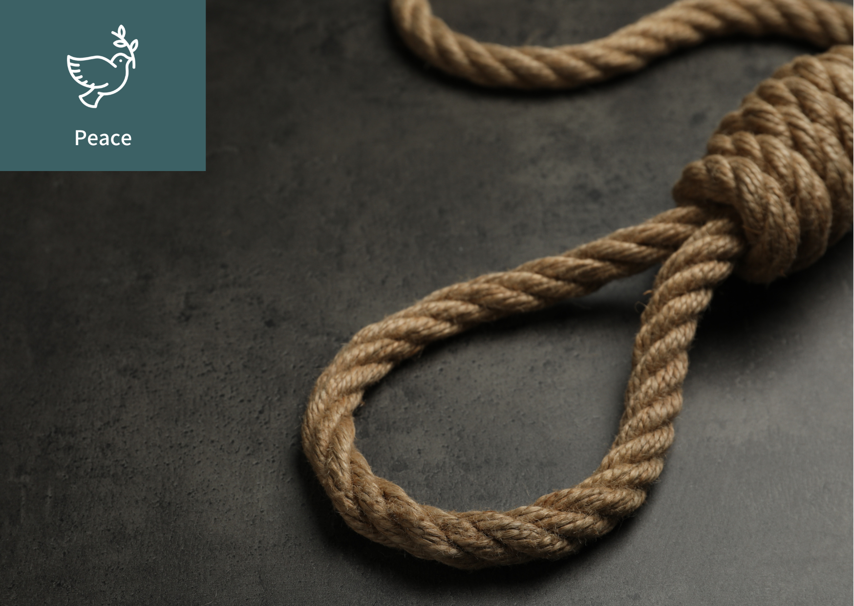 [﻿Report on the Death Penalty] 이미지