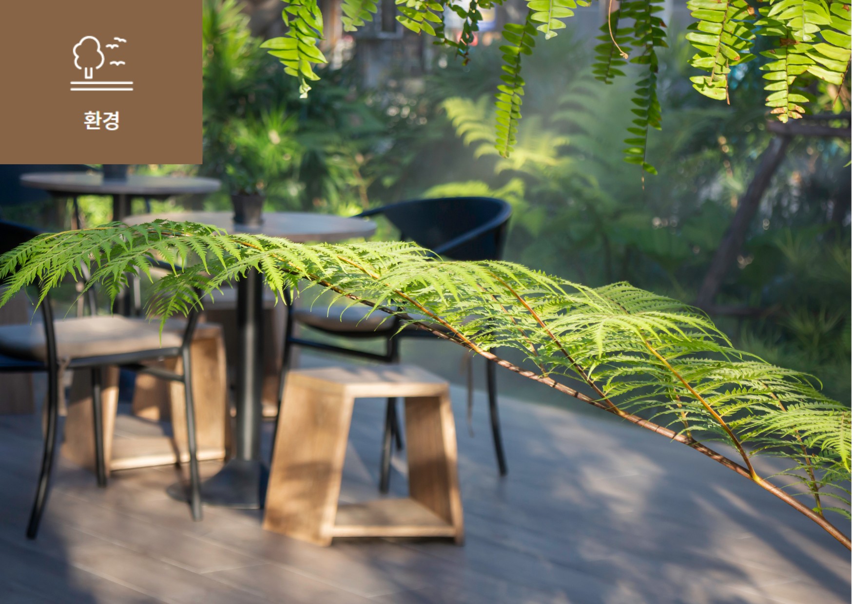 [해법은 자연에 있다, 자연기반해법(NbS)] 이미지