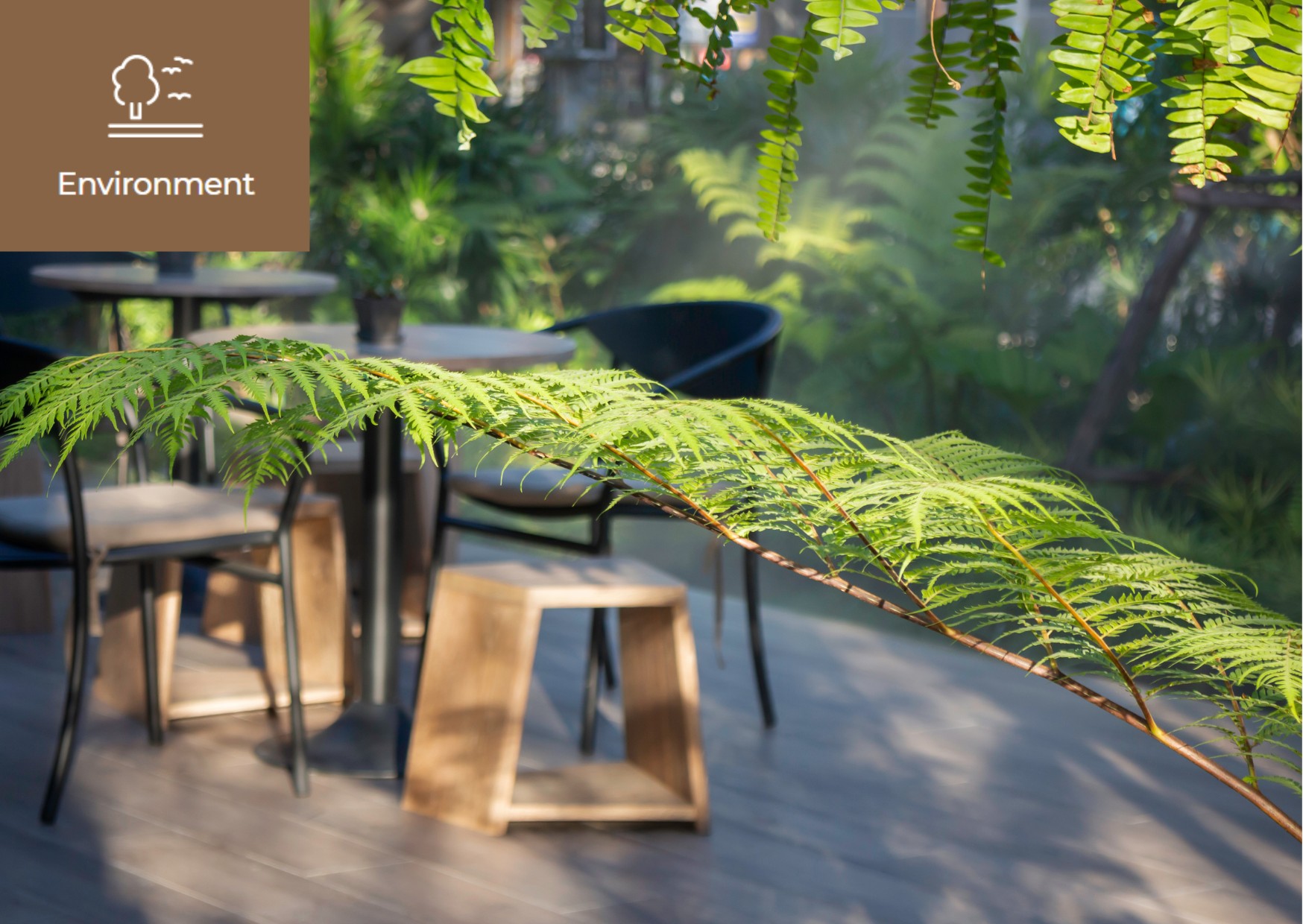 [Find the answer in nature through Nature-based Solutions] 이미지