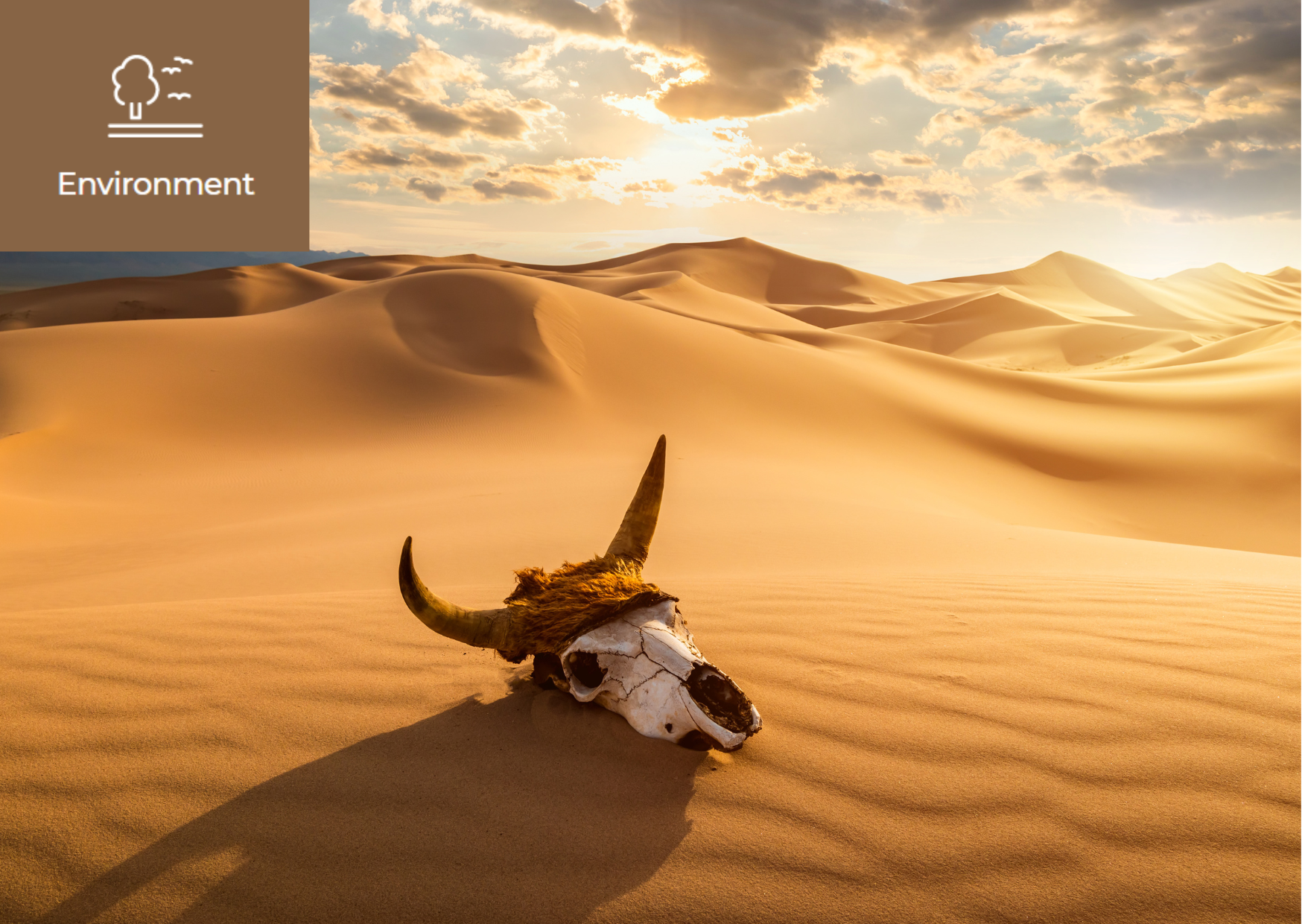 [What is IUCN Red List?] 이미지