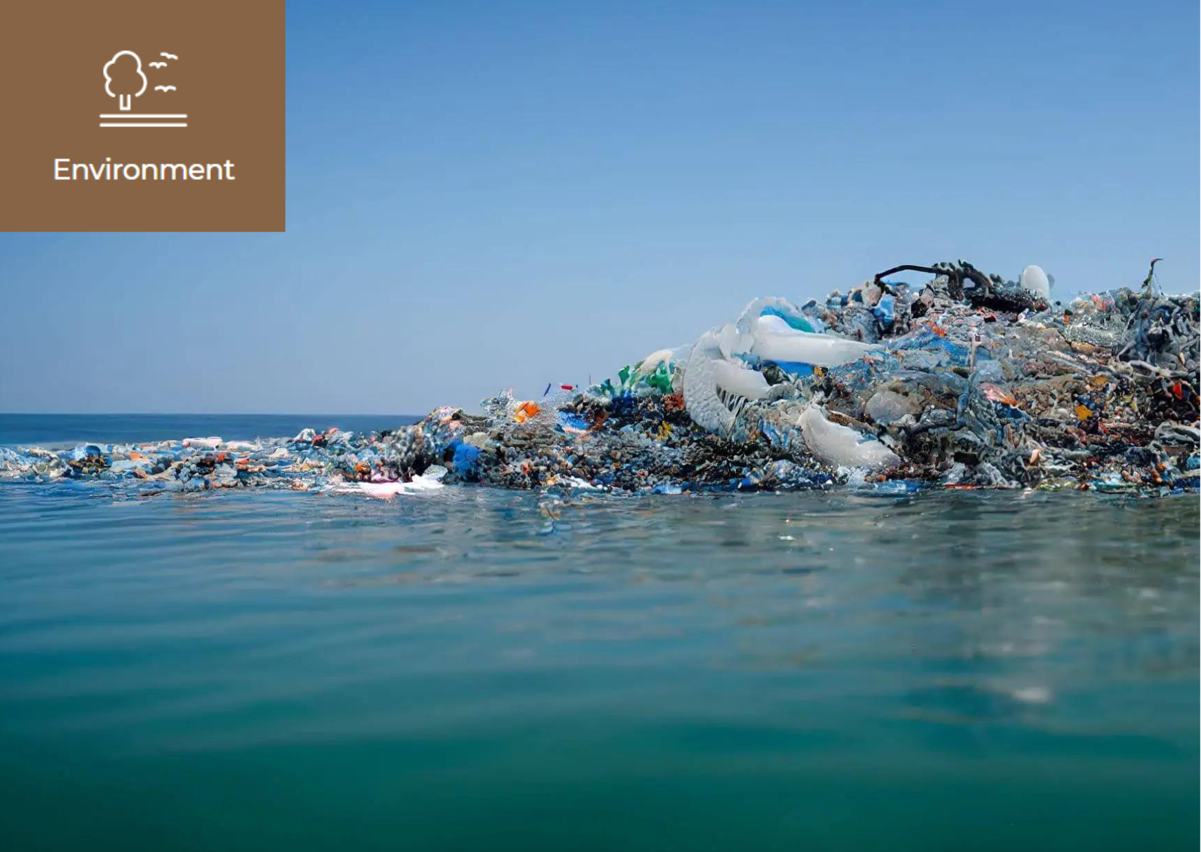 [What is Great Pacific Garbage Patch?] 이미지