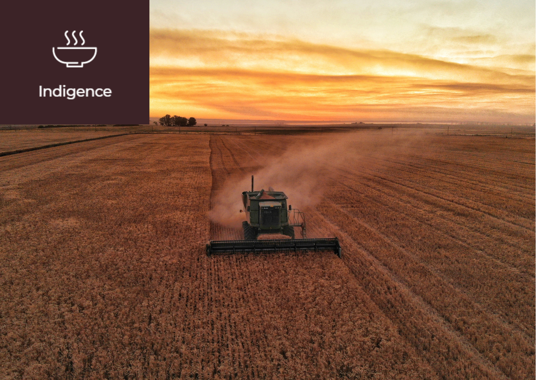 [What is the Black Sea Grain Initiative?] 이미지