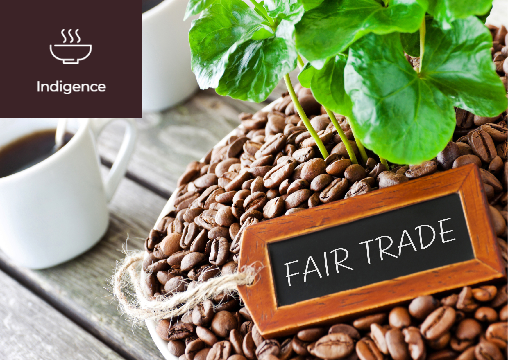 [What is Fair Trade?] 이미지