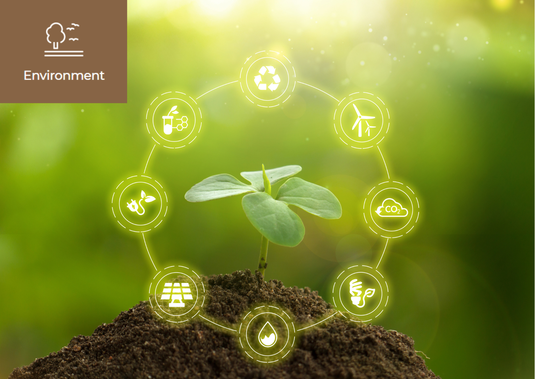 [What are Green Skills?] 이미지