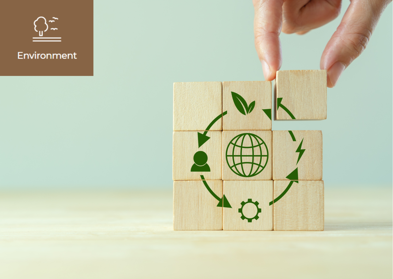 [What is a Circular Economy?] 이미지