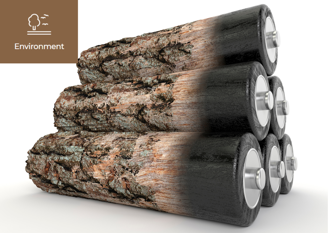 [What is Biomass?	] 이미지