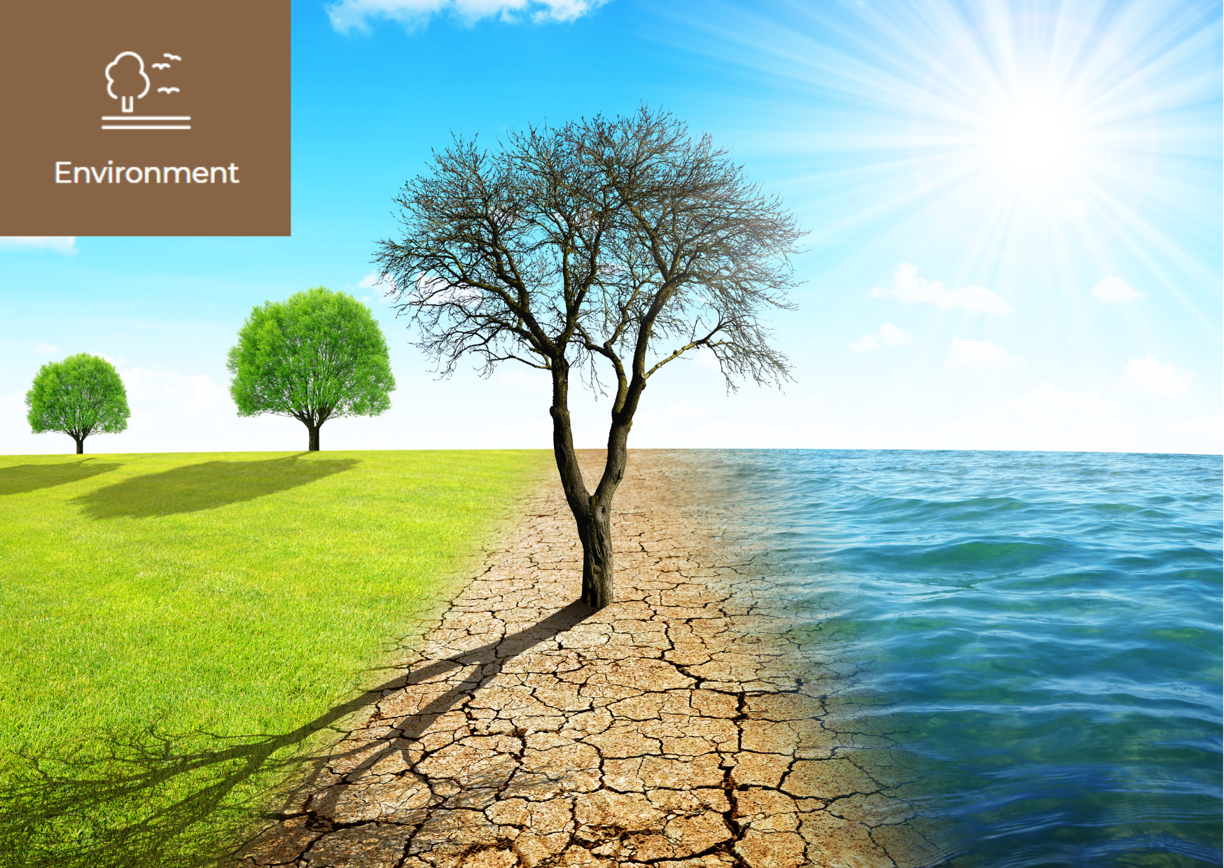 [What is the IPCC(Intergovernmental Panel on Climate Change)?] 이미지