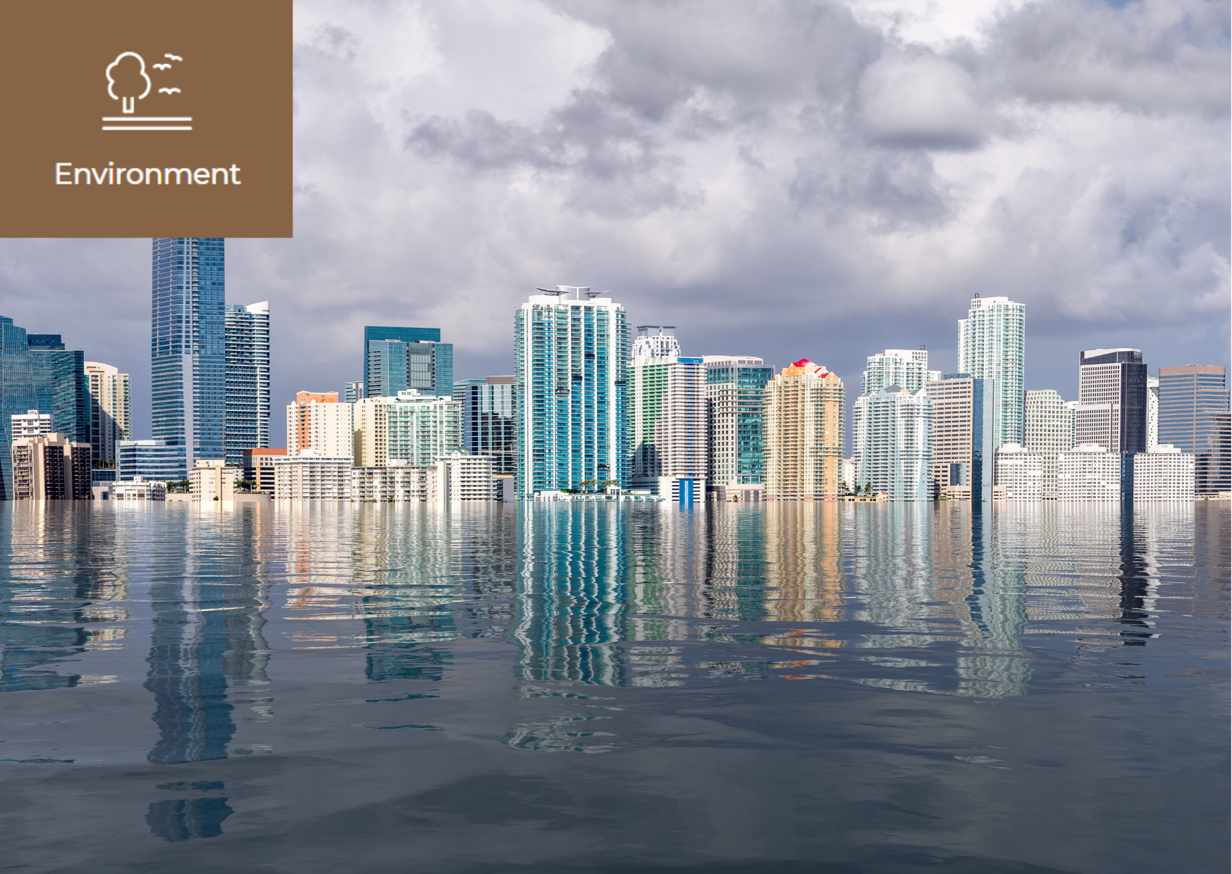 [What is Sea Level Rise?] 이미지