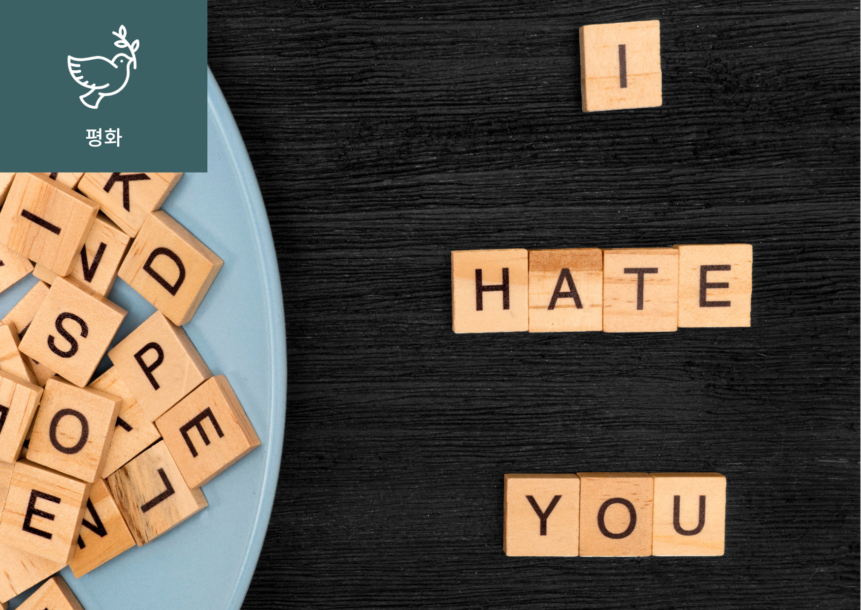 [외국인 혐오(Xenophobia)란?] 이미지