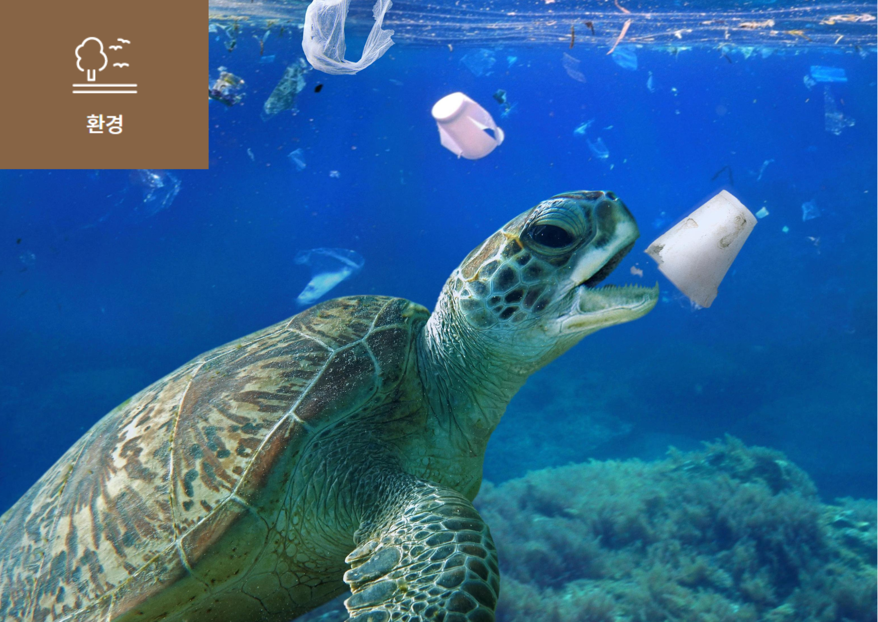 [플라스틱 대체 소재(Plastic Alternatives)란?] 이미지