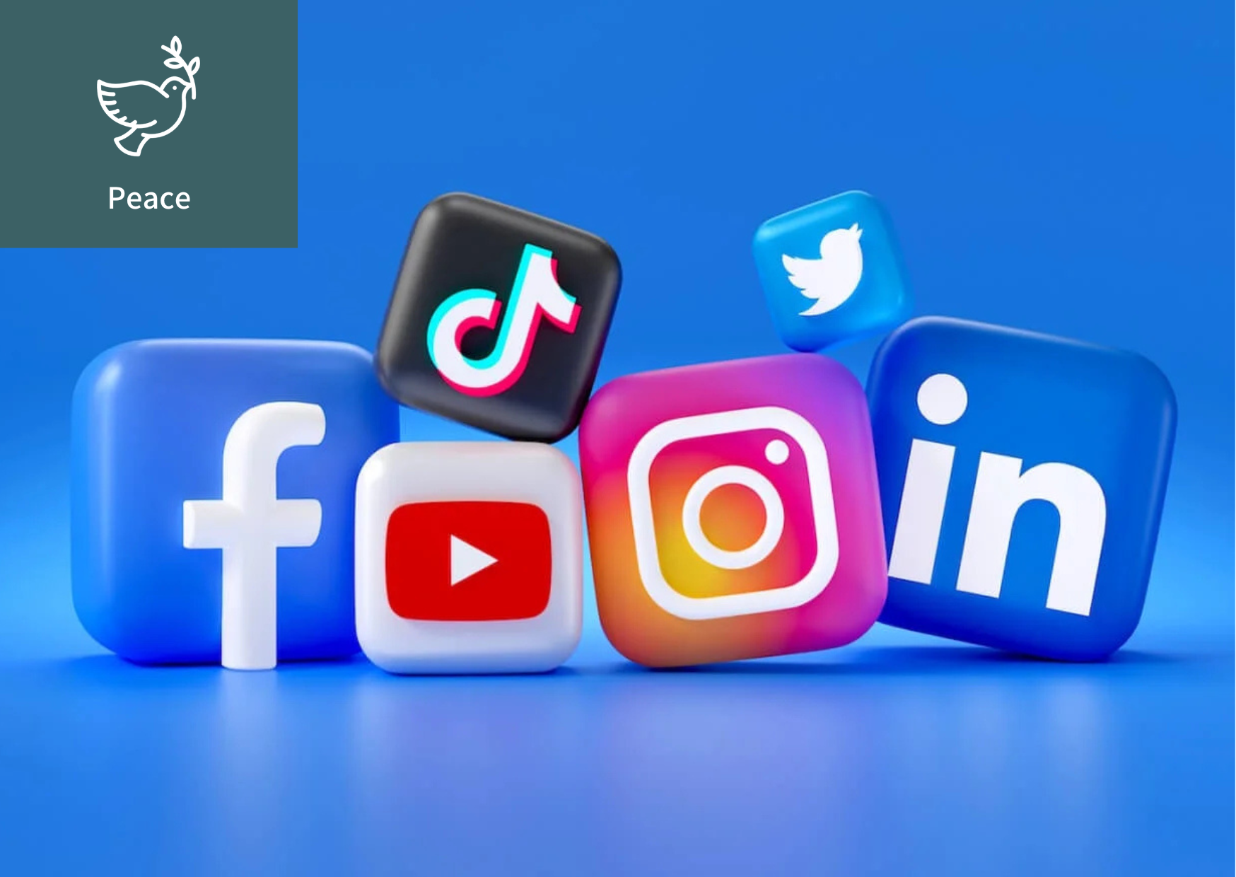 [What is Digital Activism?] 이미지