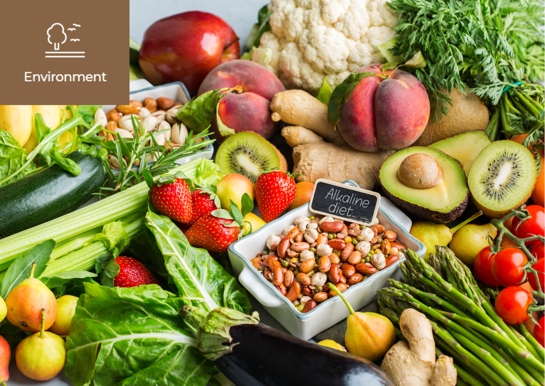 [What is Climatarian?] 이미지