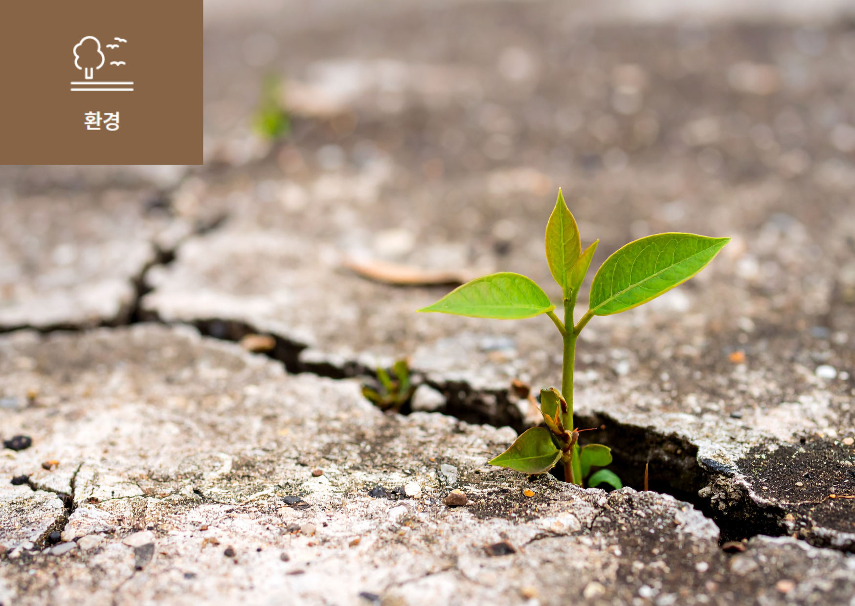 [기후복원력(Climate_Resilience)이란?] 이미지