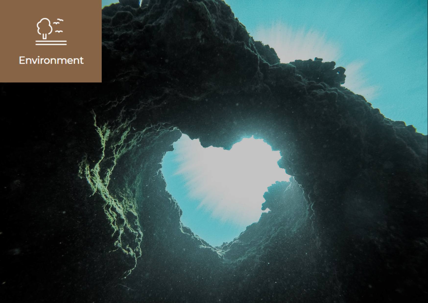 [What is Ocean Acidification?] 이미지