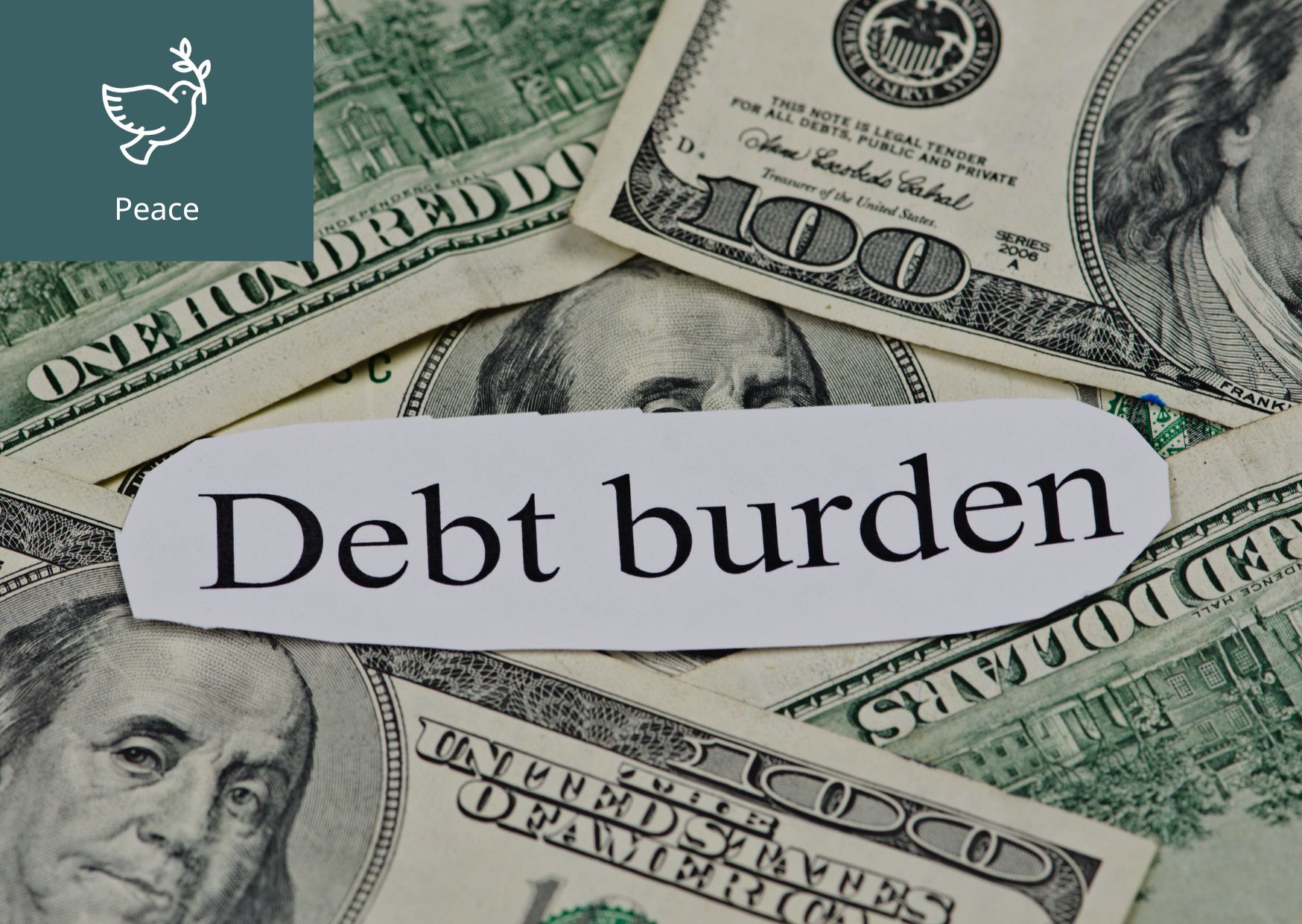 [What is Debt Burden?] 이미지