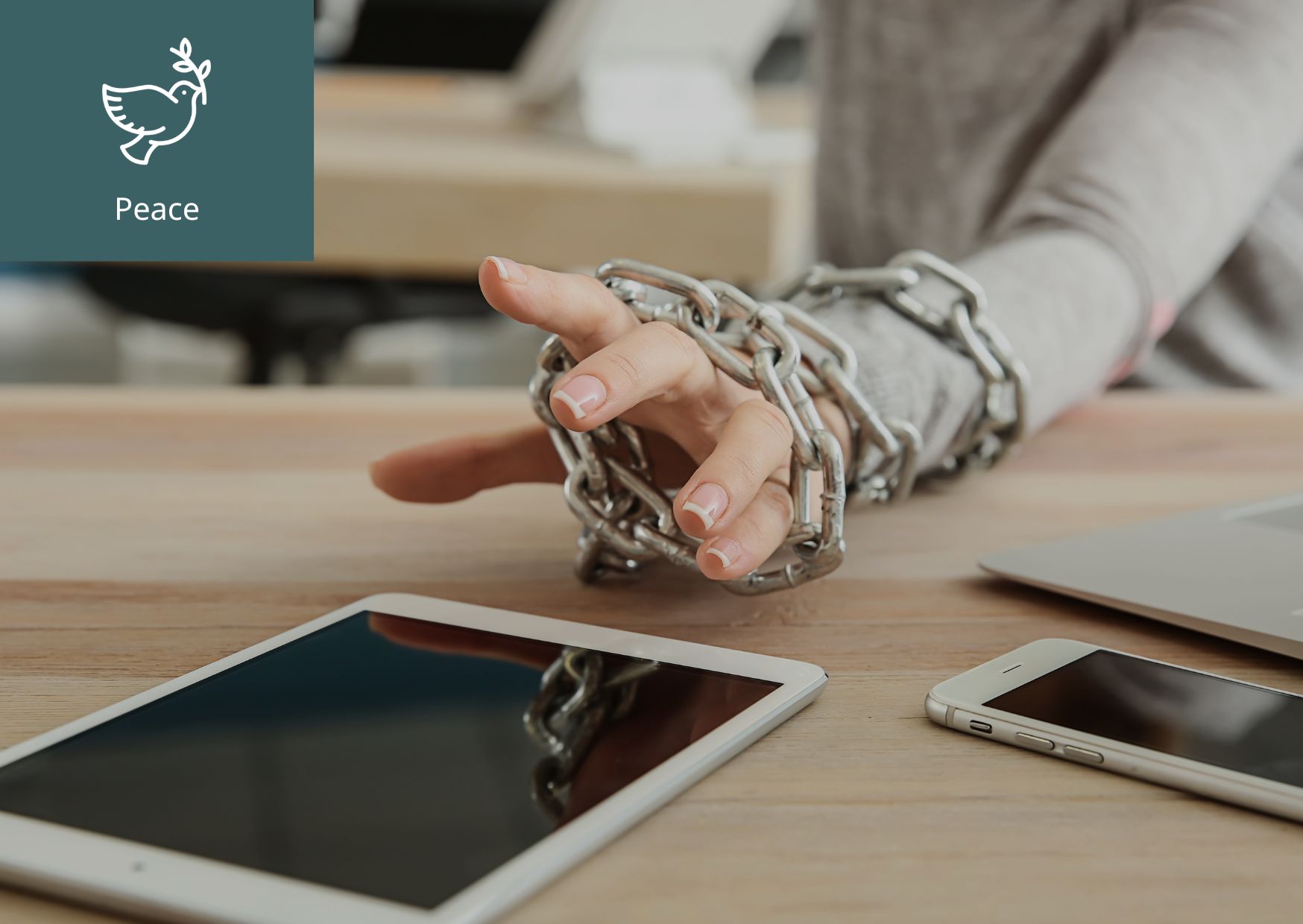 [What is Digital Refugees?] 이미지